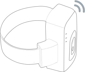 Gosafe Electronic Monitoring Industry